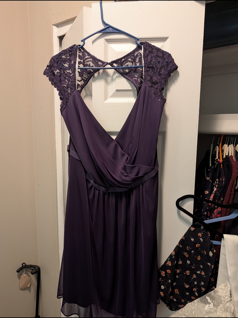 Davids Bridal Size 22 NWT Elegant Lace Cap-Slee Purple Dress